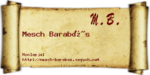 Mesch Barabás névjegykártya